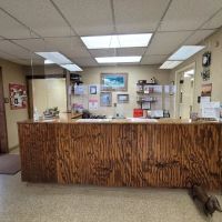 Brown County Animal Clinic ico