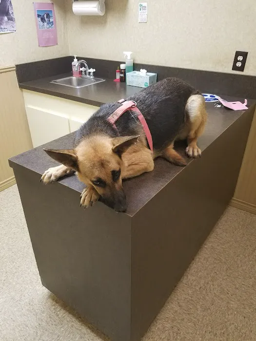 Brown County Animal Clinic Picture 5
