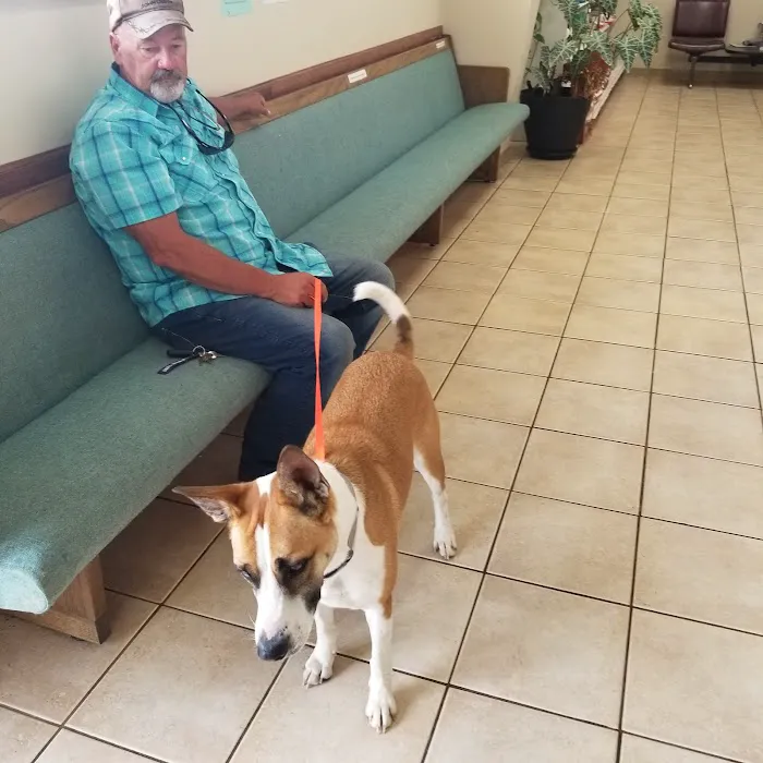 Small Animal Medical Center Picture 6