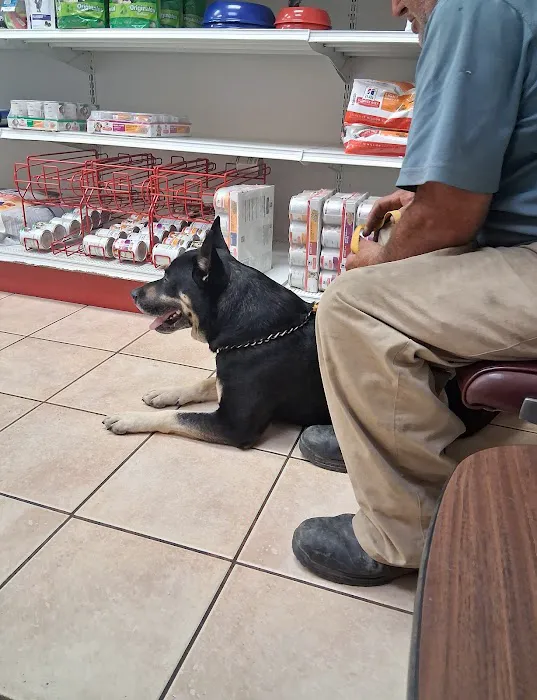 Small Animal Medical Center Picture 5