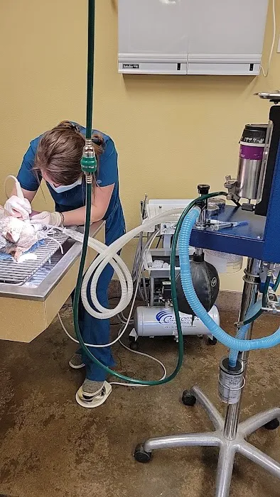 Cornerstone Pet Hospital Picture 10