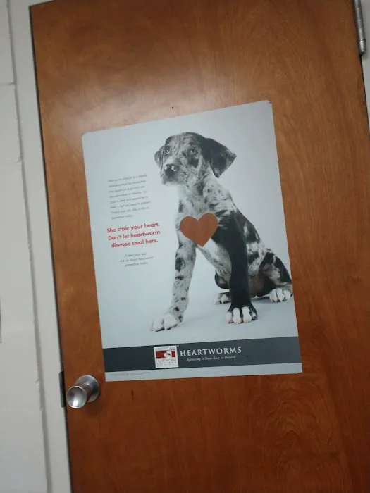 Wellington Street Animal Hospital, PLLC Picture 3