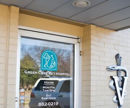 Green Cove Pet Hospital