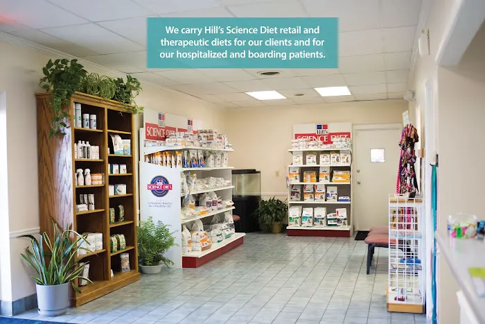 Green Cove Pet Hospital Picture 9