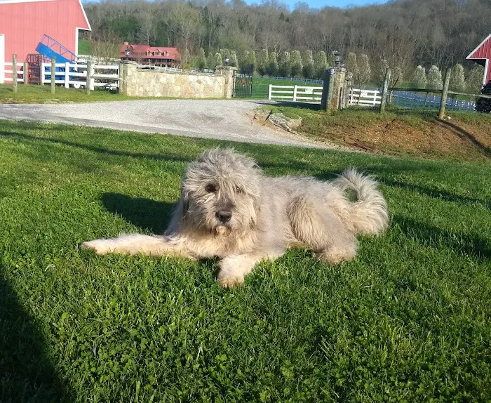 Smith County Animal Clinic Picture 7