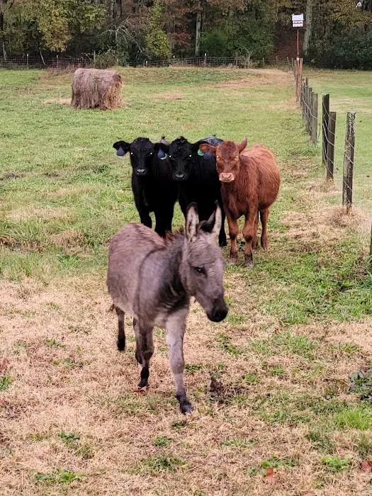 Trousdale County Veterinary Services Picture 5