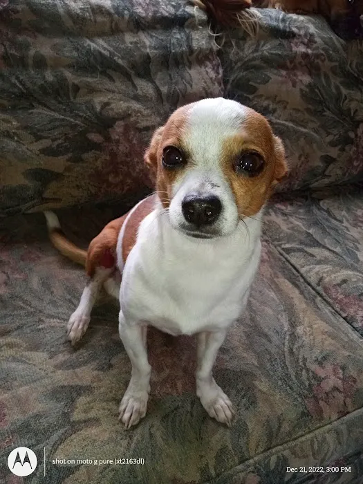 LaFayette Animal Clinic Picture 4