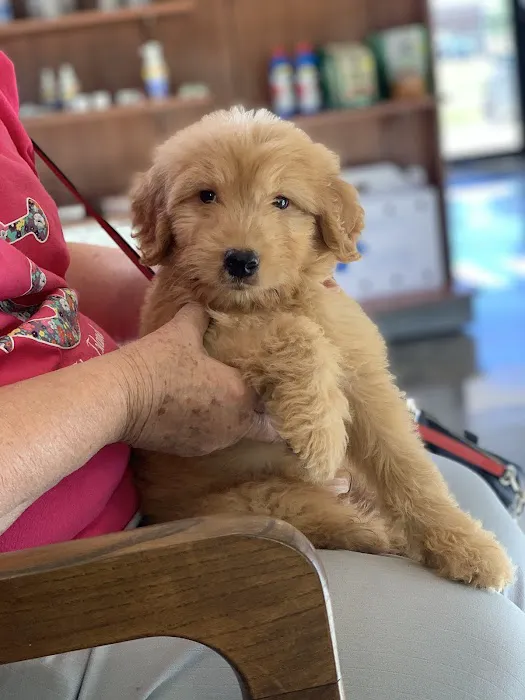 LaFayette Animal Clinic Picture 1