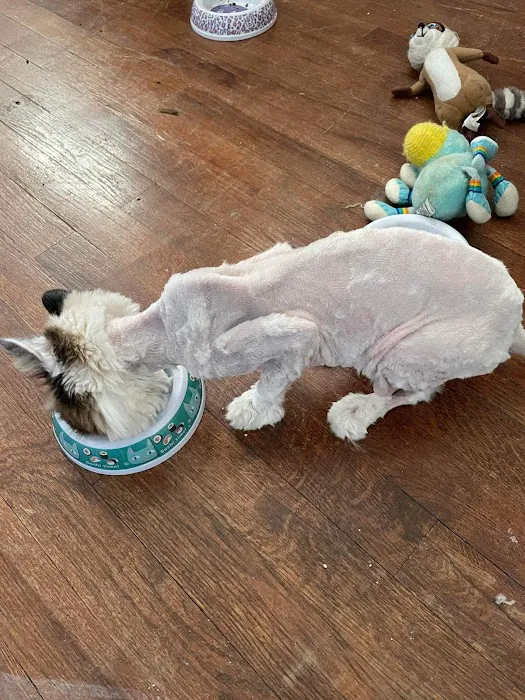 LaFayette Animal Clinic Picture 2