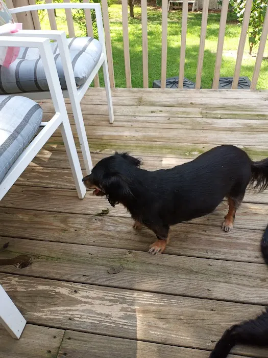 The Animal Medical Center of Fort Oglethorpe Picture 4