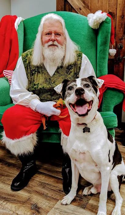 Fort Oglethorpe Pet Wellness Center Picture 4