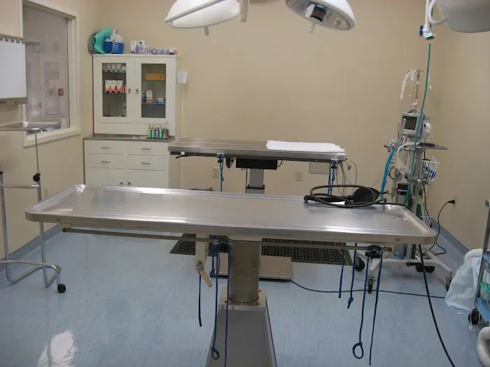 VCA Catoosa Animal Hospital Picture 5