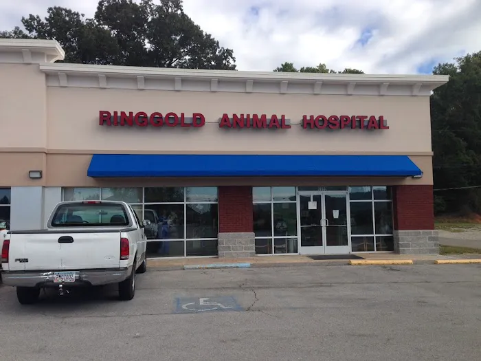Ringgold Animal Hospital Picture 9