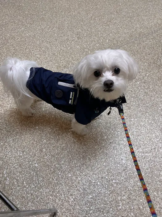 Fort Payne Animal Hospital Picture 4