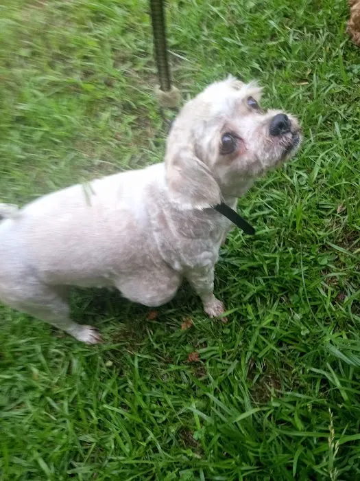 Fort Payne Animal Hospital Picture 7