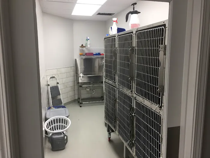 Rainsville Animal Clinic Picture 8