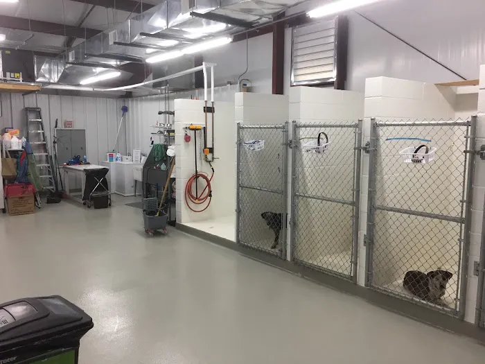 Rainsville Animal Clinic Picture 7