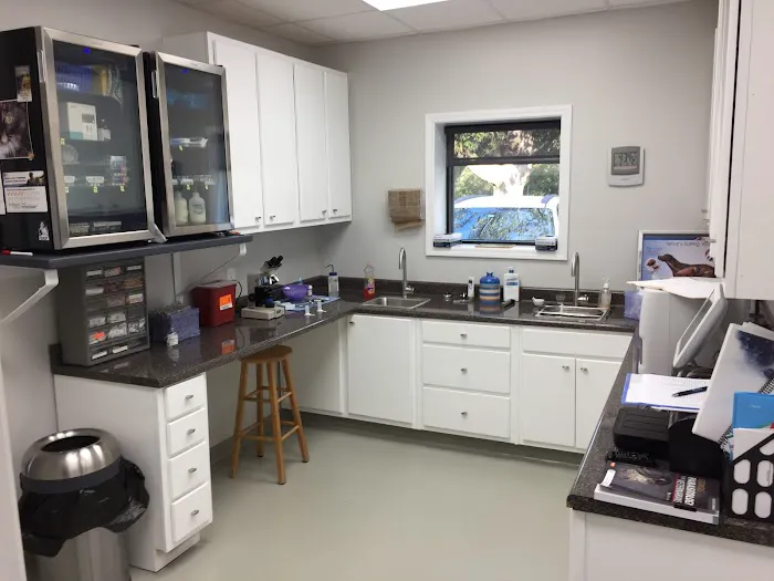 Rainsville Animal Clinic Picture 9