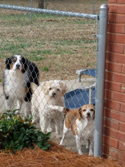 Phillips Small Animal Clinic Picture 2