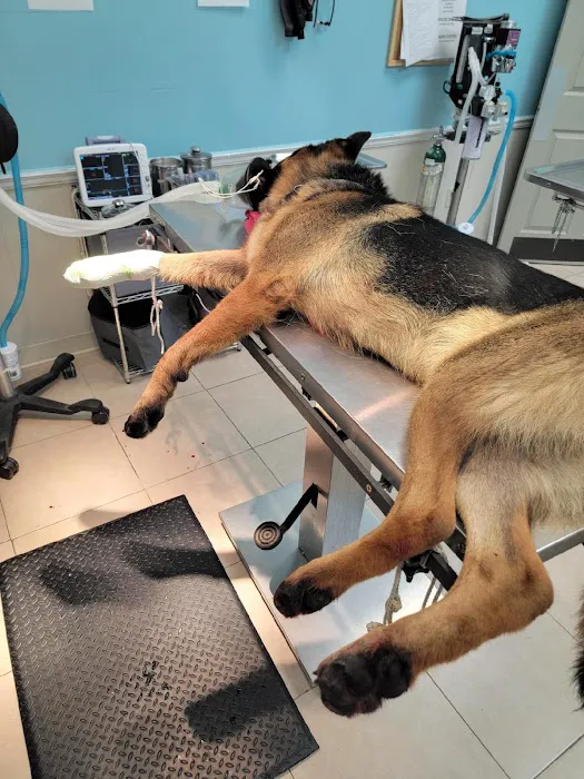 Fort Payne Veterinary Center Picture 9