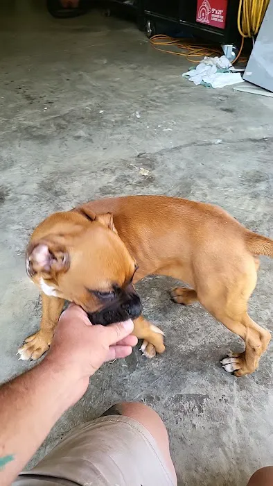 Grant Animal Clinic Picture 5