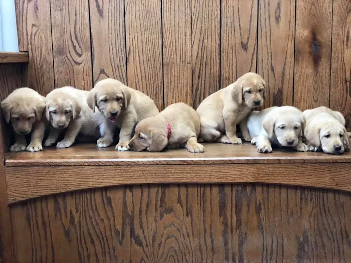 Grant Animal Clinic Picture 9