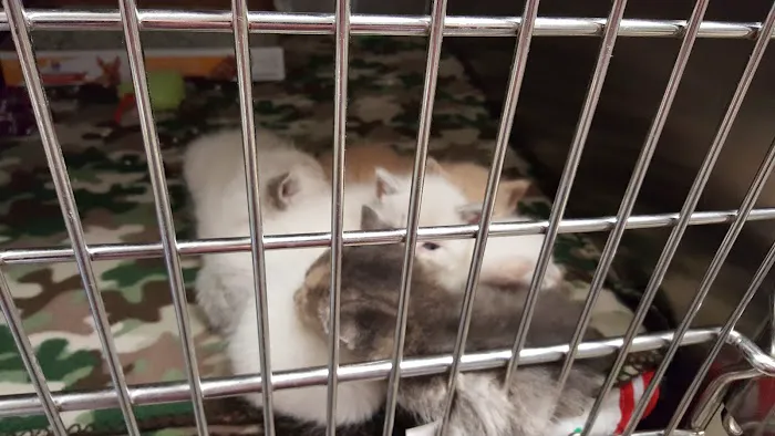 Gurley Animal Clinic Picture 2