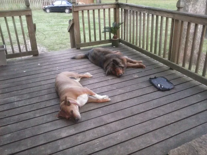 Gurley Animal Clinic Picture 1