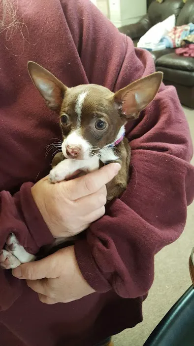 Gurley Animal Clinic Picture 3