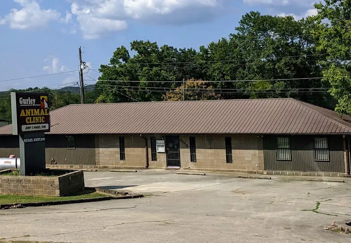 Gurley Animal Clinic Picture 7