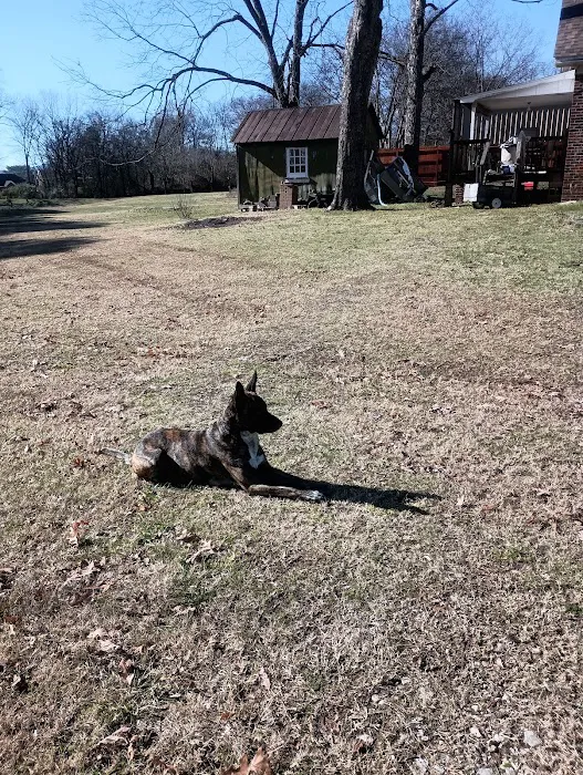 Gurley Animal Clinic Picture 9
