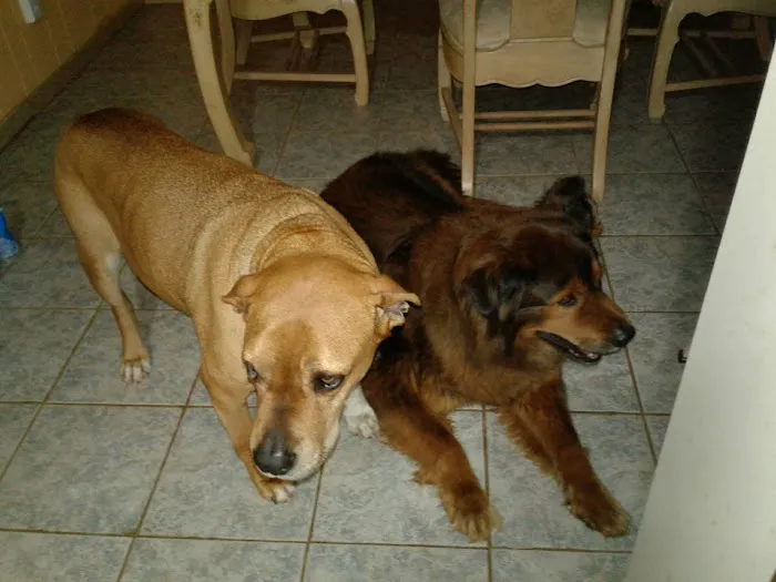 Gurley Animal Clinic Picture 6