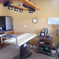 High Falls Holistic Veterinary Care ico