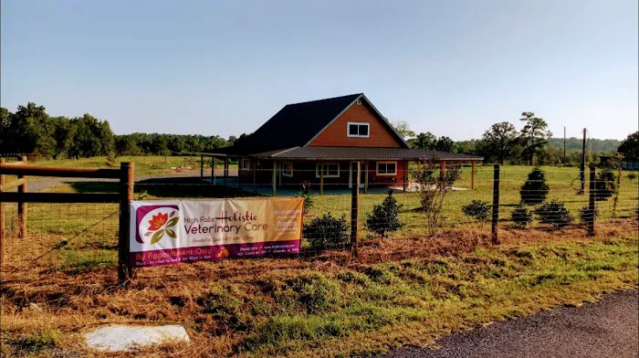 High Falls Holistic Veterinary Care Picture 3