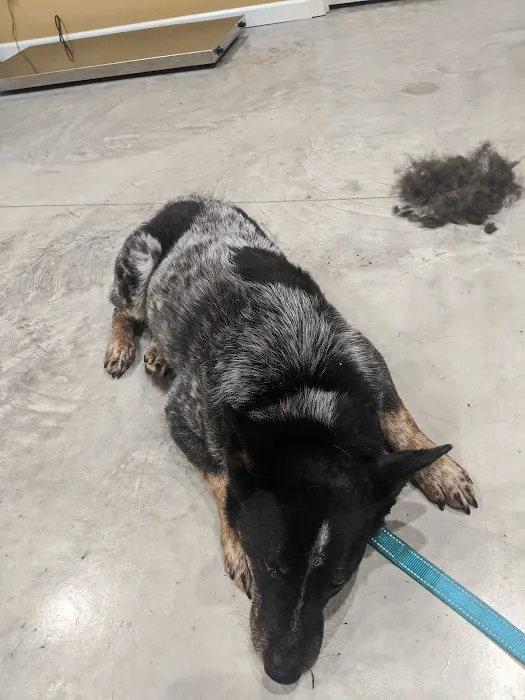High Falls Holistic Veterinary Care Picture 10