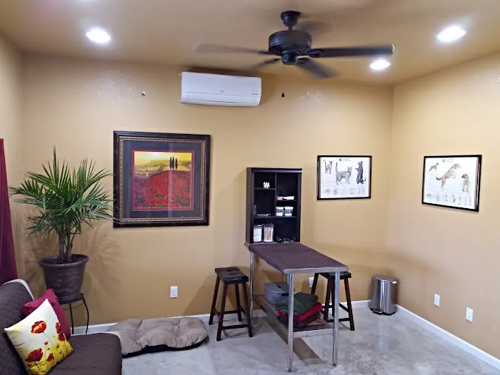 High Falls Holistic Veterinary Care Picture 9