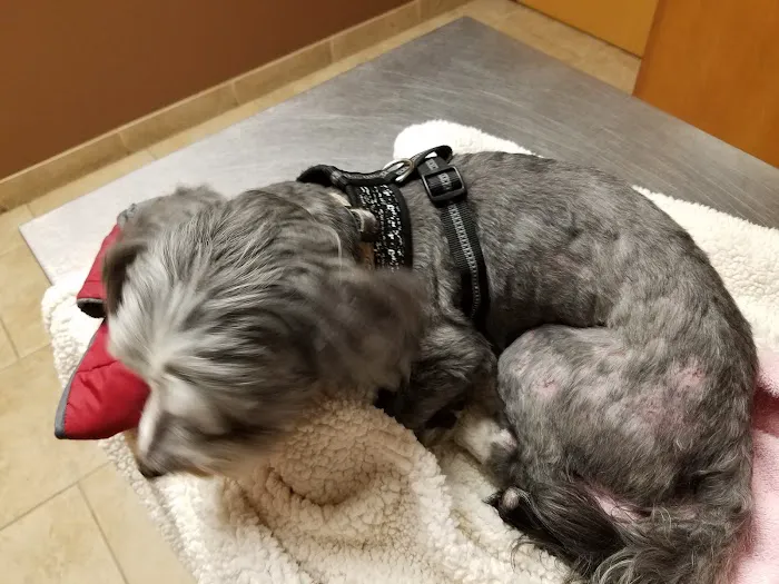 Chattanooga Veterinary Center Picture 5