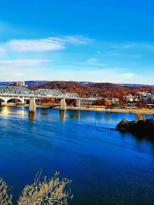 Chattanooga Veterinary Center Picture 4