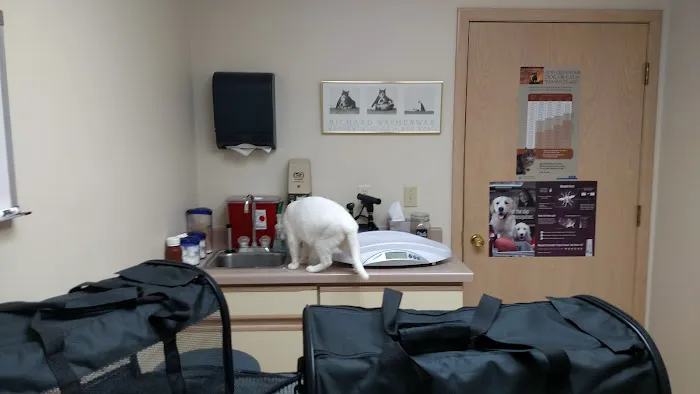 County Center Animal Hospital Picture 2