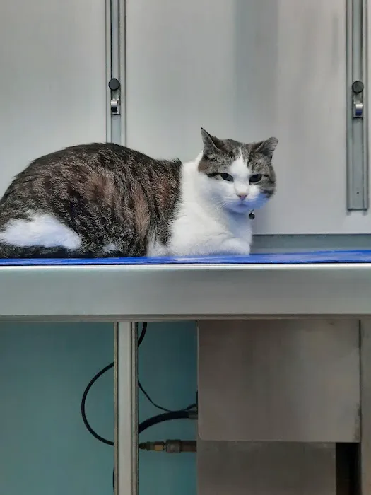 Mosinee Veterinary Clinic Picture 3