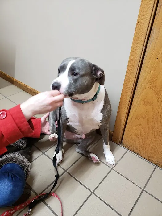 Mosinee Veterinary Clinic Picture 6