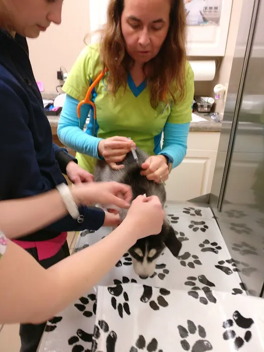 Mosinee Veterinary Clinic Picture 8
