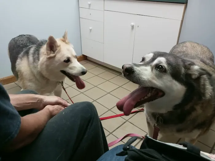 Mosinee Veterinary Clinic Picture 9