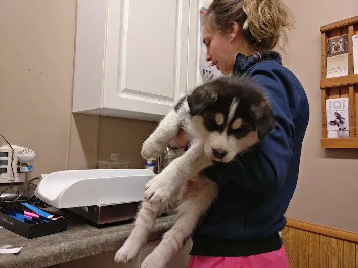 Mosinee Veterinary Clinic Picture 7