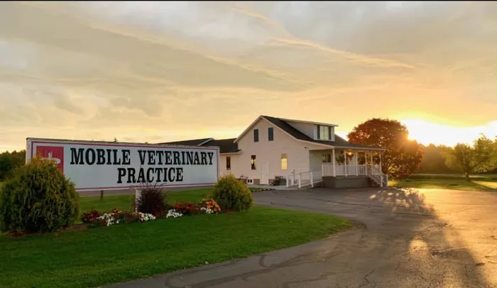 Mobile Veterinary Practice Picture 8