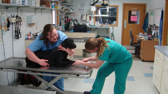 VCA Sand Lake Animal Hospital Picture 8