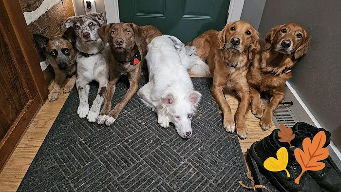 Onalaska Animal Hospital Picture 5