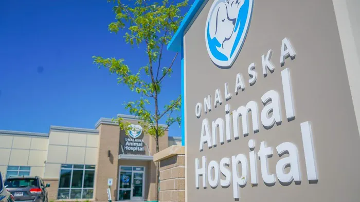 Onalaska Animal Hospital Picture 7