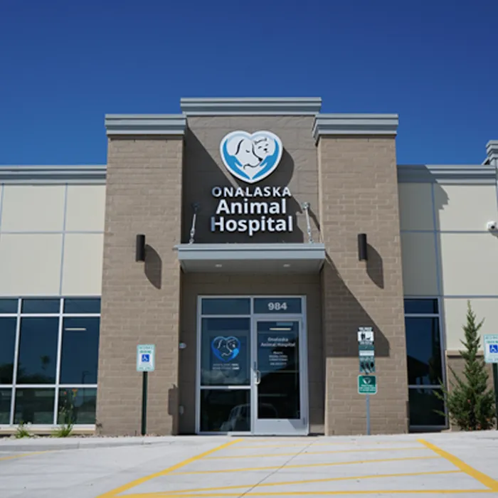 Onalaska Animal Hospital Picture 10