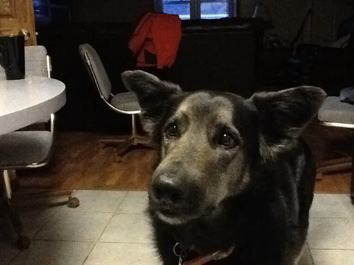 La Crescent Animal Care Picture 3